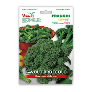 Brokoli Ramoso Calabrese - zelen Brokoli Ramoso Calabrese - zelen