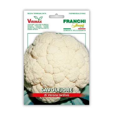 Cvetača Verona – pozna sorta z bujno rastjo Cvetača Verona – pozna sorta z bujno rastjo