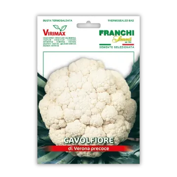 Cvetača Verona - zgodnja Cvetača Verona - zgodnja