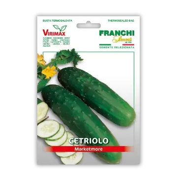 Kumara Marketmore - za solato Kumara Marketmore - za solato