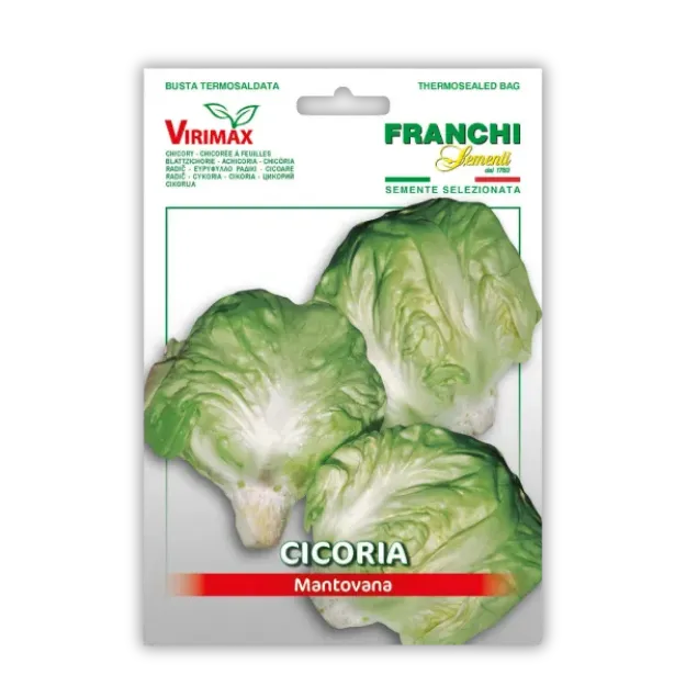 Semena radiča Mantovana Franchi Sementi