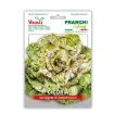 Radič pisan Variegata di Castelfranco - odporen na mraz