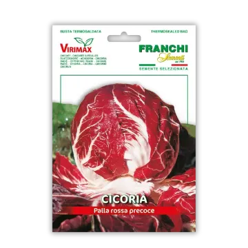 Radič rdeč Palla Rossa Radič rdeč Palla Rossa