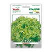 Solata Salad Bowl