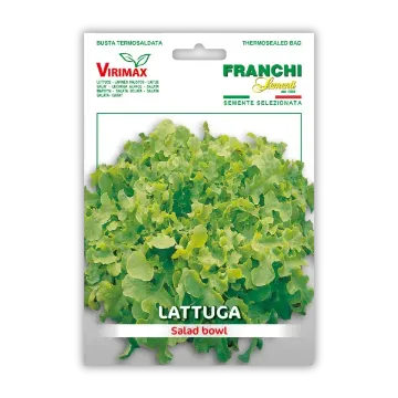 Solata Salad Bowl Solata Salad Bowl