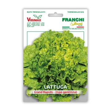 Solata hrustljava Grand Rapids Solata hrustljava Grand Rapids