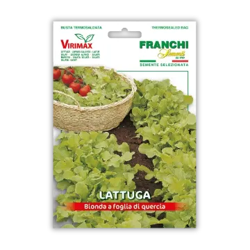 Solata – svetla v obliki hrastovega lista Solata – svetla v obliki hrastovega lista