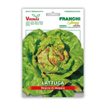 Solata Regina di Maggio – z pisanimi listi Solata Regina di Maggio – z pisanimi listi