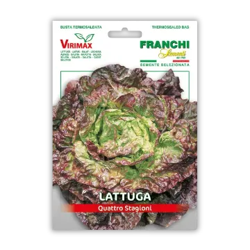 Solata štirje letni časi Solata štirje letni časi