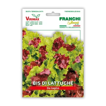 Mešanica solat rezivk – rdeča in zelena Mešanica solat rezivk – rdeča in zelena