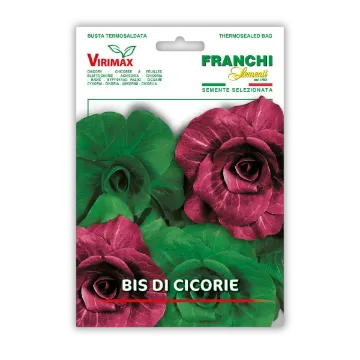 Mešanica radiča - jesenska Mešanica radiča - jesenska