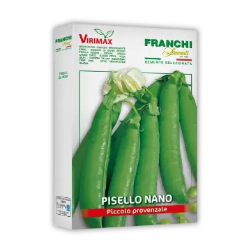 Grah Mali provansalec Grah Mali provansalec