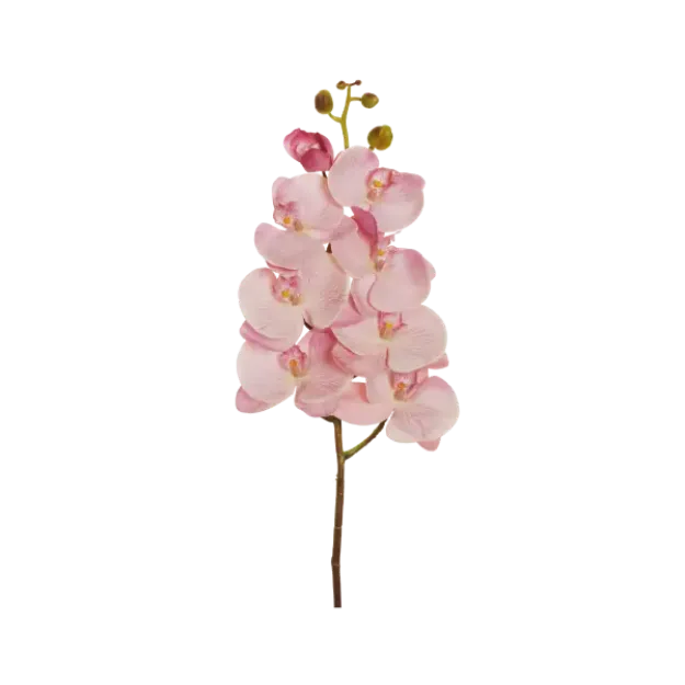 Umetna orhideja Phalaenopsis - svetlo roza