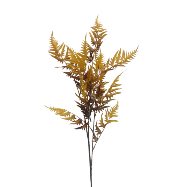 Umetna praprot