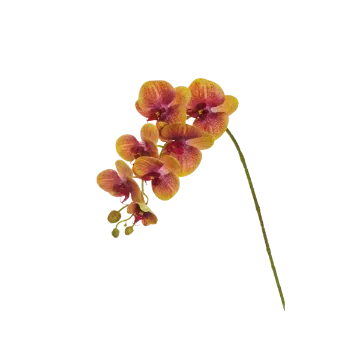 Umetna orhideja Phalaenopsis Umetna orhideja Phalaenopsis