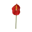 Umetni anthurium