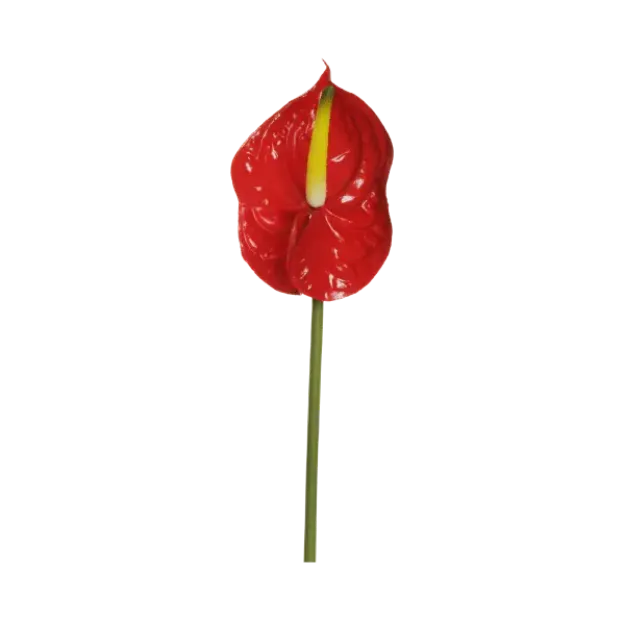 Umetni anthurium