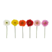 Umetna gerbera - dekorativni cvet v več barvah