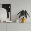 Notranji cvetlični lonec modernega dizajna