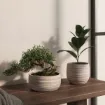 Keramična cvetlična posoda DORIS BOWL z reliefno teksturo v bež barvi na belem ozadju.