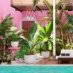 Moderni okrasni lonec Havana Tropical za notranje in zunanje rastline