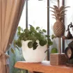 Okrasni lonec Havana Tropical  - granitno bel