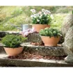 terracotta cvetlična skleda Ciotola Liscia - v barvi bele gline