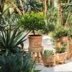 Tradicionalan terracotta lonec Sicilia Cylinder - okrogel lonec z motivom limone