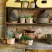 Tradicionalna terracotta mini cvetlični lonček Liscio Siena