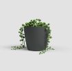 Slika Okrasni cvetlični lonec SAN REMO - antracit - mat