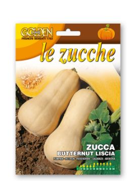 Prikaži podrobnosti za Buča BUTTERNUT LISCIA Slika Buča BUTTERNUT LISCIA