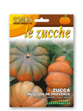 Prikaži podrobnosti za Buča MUSCADE DE PROVENCE Slika Buča MUSCADE DE PROVENCE