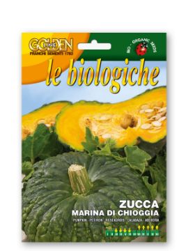 Prikaži podrobnosti za Buča MARINA DI CHIOGGIA Slika Buča MARINA DI CHIOGGIA