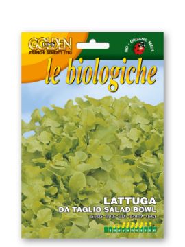 Prikaži podrobnosti za Solata ledenka SALAD BOWL Slika Solata ledenka SALAD BOWL