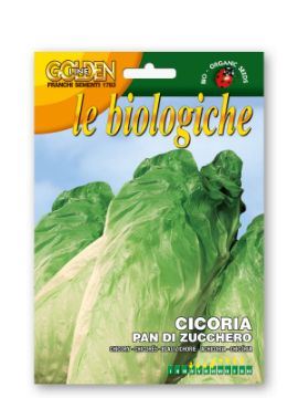 Prikaži podrobnosti za Radič PAN DI ZUCCHERO Slika Radič PAN DI ZUCCHERO