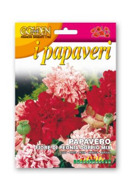 Prikaži podrobnosti za Mak PAEONIFLORUM - dvojna mešanica Slika Mak PAEONIFLORUM - dvojna mešanica