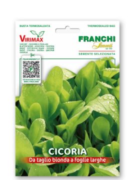 Prikaži podrobnosti za Radič DA TAGLIO BIONDA A FOGLIE LARGHE Slika Radič DA TAGLIO BIONDA A FOGLIE LARGHE