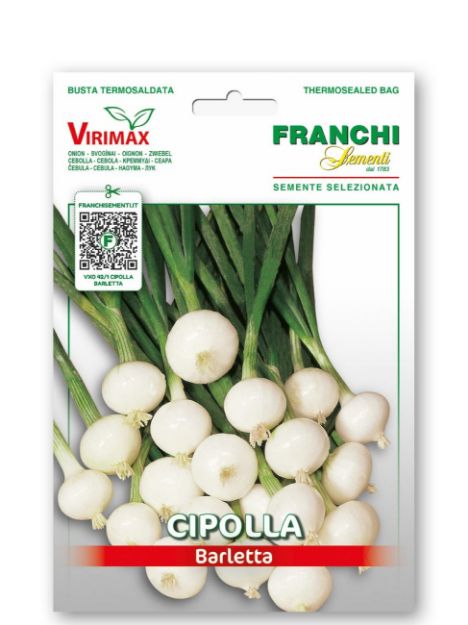 Semena čebule Barletta – zgodnja bela čebula za vlaganje v originalni embalaži Franchi Seeds