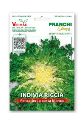 Prikaži podrobnosti za Endivija RICCIA PANCALIERI A COSTA BIANCA Slika Endivija RICCIA PANCALIERI A COSTA BIANCA