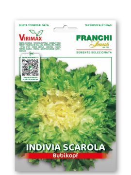 Prikaži podrobnosti za Endivija SCAROLA BUBIKOPF Slika Endivija SCAROLA BUBIKOPF