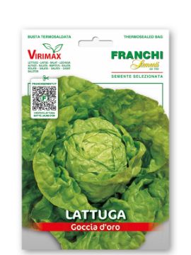 Prikaži podrobnosti za Solata GOCCIA D’ORO Slika Solata GOCCIA D’ORO