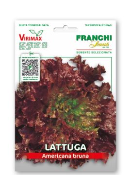 Prikaži podrobnosti za Solata FRISEE D’AMERIQUE - AMERICANA BRUNA Slika Solata FRISEE D’AMERIQUE - AMERICANA BRUNA