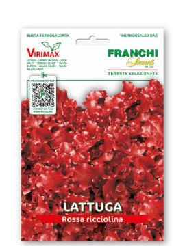 Prikaži podrobnosti za Solata ROSSA RICCIOLINA Slika Solata ROSSA RICCIOLINA