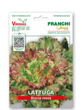 Prikaži podrobnosti za Solata BISCIA ROSSA Slika Solata BISCIA ROSSA