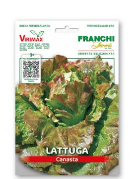 Prikaži podrobnosti za Solata CANASTA Slika Solata CANASTA