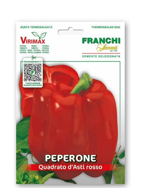 Slika Rdeča paprika QUADRATO D’ASTI