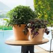 Slika Glinena posoda VASO DUO WHITE STRIPPED