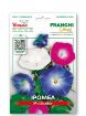 Slika Večbarvni lepi slak (IPOMOEA)