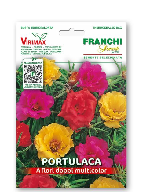 Slika PORTULAK z dvojnim cvetom - mešanica