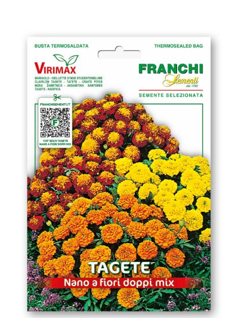 Slika Nizka ŽAMETNICA (ognjič) - mešanica